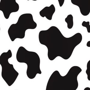 Meet your Posher, Hadley